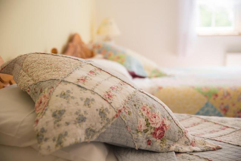Shannon Breeze B&B Killaloe Εξωτερικό φωτογραφία