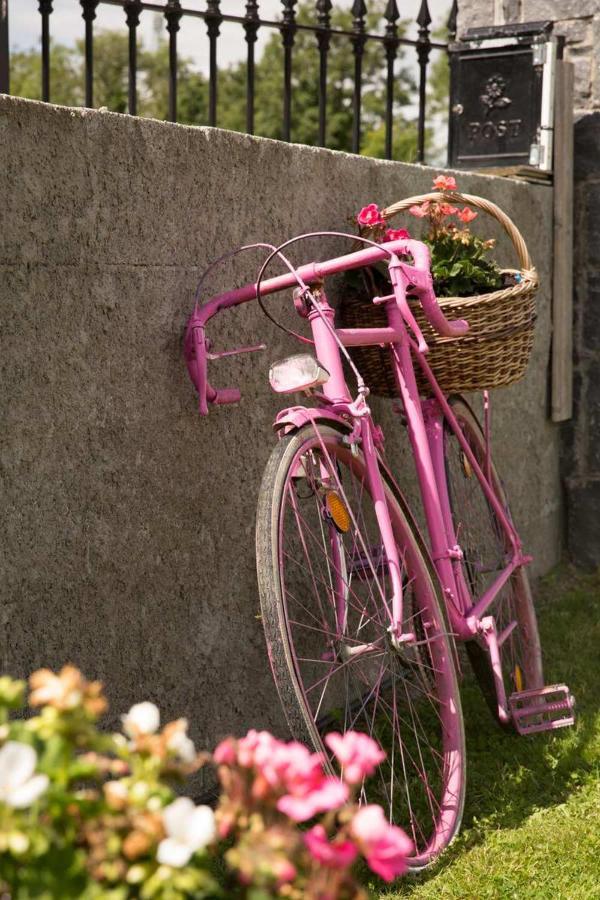 Shannon Breeze B&B Killaloe Εξωτερικό φωτογραφία