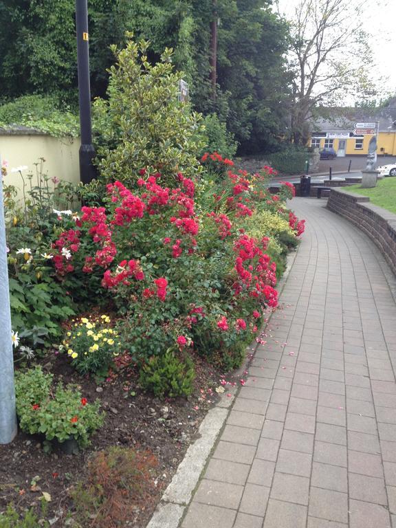 Shannon Breeze B&B Killaloe Εξωτερικό φωτογραφία